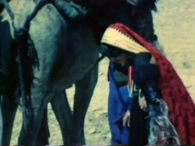 ¼Ƭ -  Afghan Nomads - The MaldarĻ/Ļ