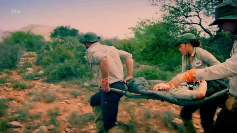 ¼Ƭ˹ϵ 2 Bear Grylls Mission Survive: Series 2Ļ/Ļ