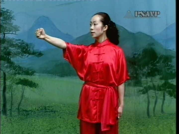 ¼Ƭ Wushu Basic SkillsĻ/Ļ