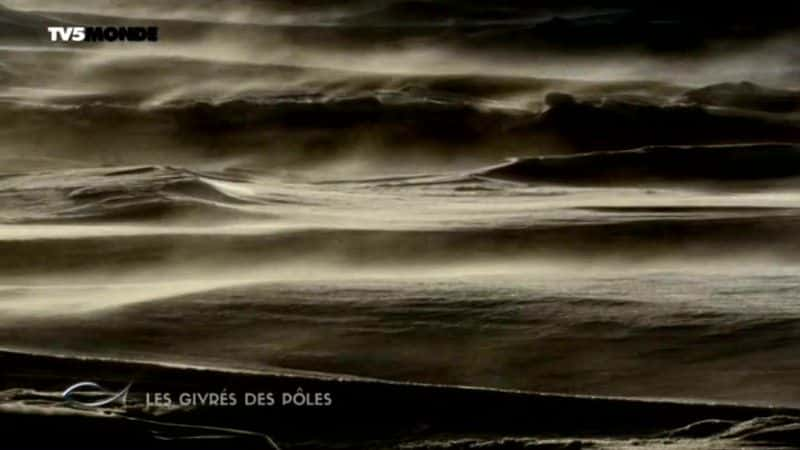 纪录片《北极-南极洲：les givres des 极地 Arctique-Antarctique: les givres des poles》[无字] [BT][DVD画质]资源下载