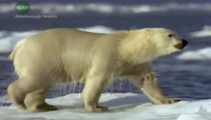 ¼Ƭ̽Ǵ Attenborough Explores: Our Fragile World720P-Ļ/Ļ