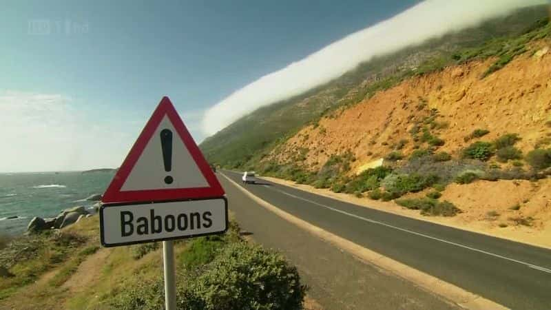 ¼ƬӢ̨ Baboons (ITV)Ļ/Ļ