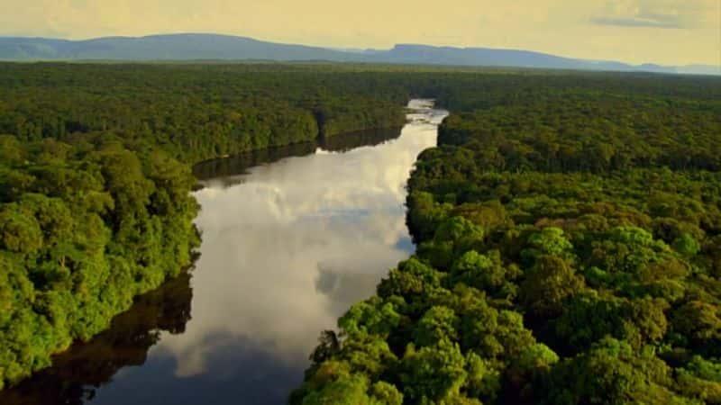 ¼ƬҰĳ - ˹ϵ 1 Worlds Wildest Cities - Manaus: Series 1Ļ/Ļ