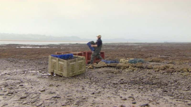 ¼Ƭ櫡² (Julia Bradbury) Ѿɢ Best Walks With A View With Julia BradburyĻ/Ļ