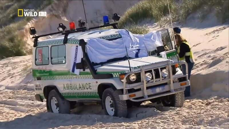 ¼ƬĴĵط㺣 Australia's Deadliest: Shark CoastĻ/Ļ