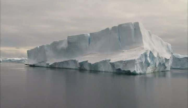 ¼Ƭϼ - Ұ Antarctica Dreaming - Wildlife on IceĻ/Ļ