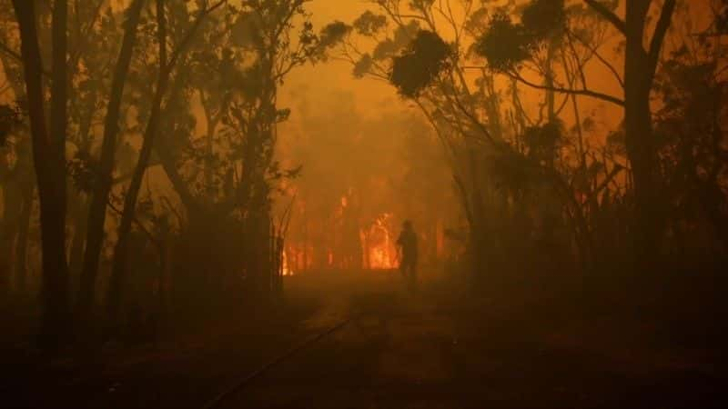 ¼ƬĴȼգBBC Australia Burning (BBC)1080Pȫ1-Ļ/Ļ