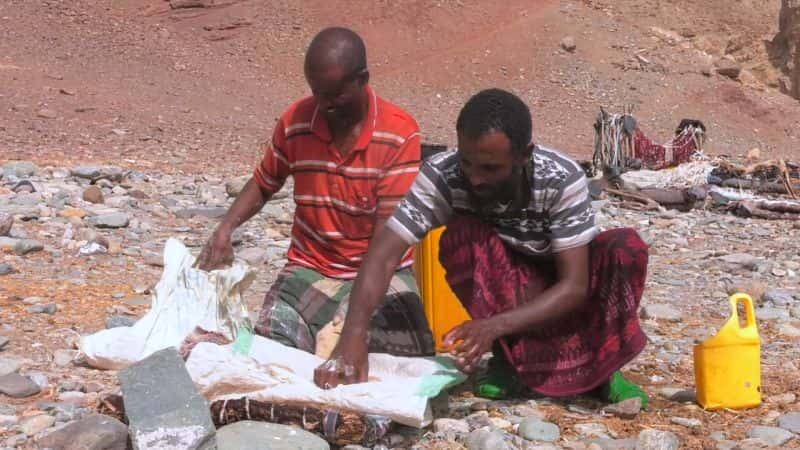 ¼ƬǶİó Arho: The Afar Salt Trade of Northeastern EthiopiaĻ/Ļ