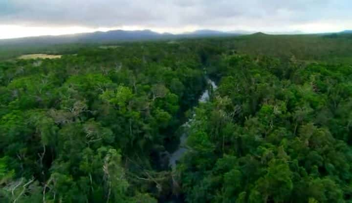 ¼ƬĴ֮ Australia Land of Parrotsȫ1-Ļ/Ļ