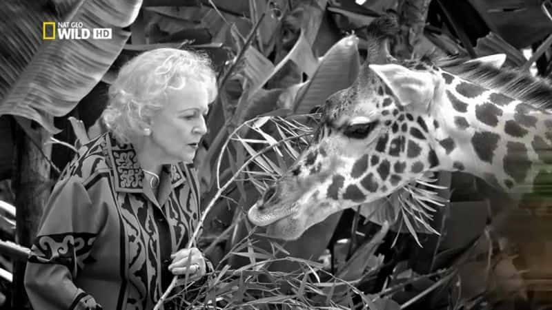 ¼Ƭ١رÿҰ Betty White Goes WildĻ/Ļ