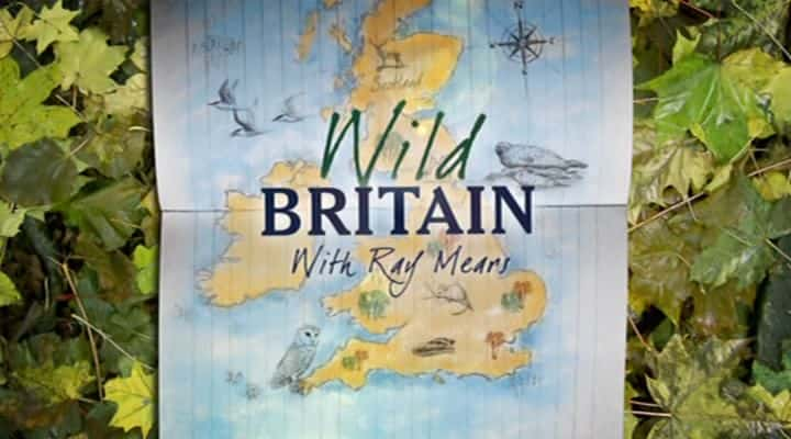 ¼ƬҰеϵ 1 Wild Britain Series 1ȫ6-Ļ/Ļ