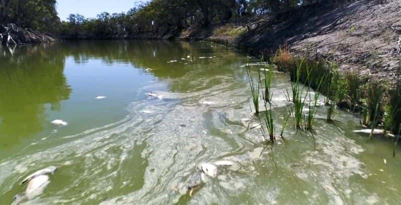 ¼ƬĴǵˮս Australia's Water WarsĻ/Ļ