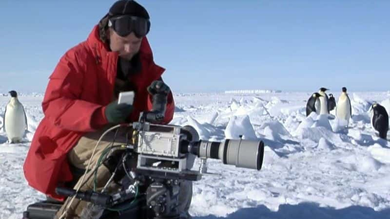 ¼ƬҰӰʦڹ Wild Cameramen at Workȫ4-Ļ/Ļ