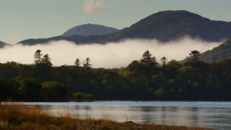 ¼ƬҰıԵ Wild Ireland: The Edge of the Worldȫ1-Ļ/Ļ