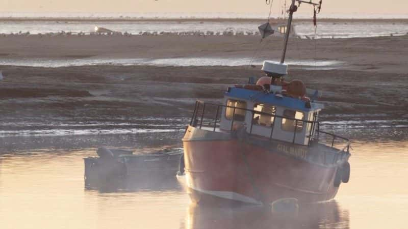 ¼Ƭ˹ĻҰ (BBC 1080p) The Wild Places of Essex (BBC 1080p)1080P-Ļ/Ļ