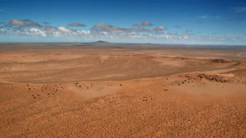 ¼Ƭ޿ҰײɳĮ Africas Wild West: Stallions of the Namib Desert1080P-Ļ/Ļ