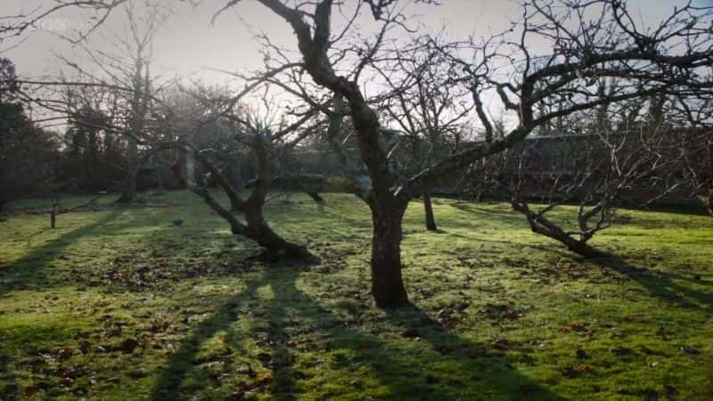 ¼ƬӢ԰һ꣺˸ (BBC) A Year in an English Garden: Flicker and Pulse (BBC)1080P-Ļ/Ļ