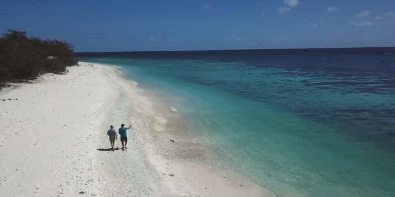 ¼Ƭ󱤽֮ս The Battle for the Great Barrier ReefĻ/Ļ