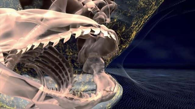 ¼ƬΪʲôϮBBC this World Why Sharks Attack (BBC this World)1080Pȫ1-Ļ/Ļ