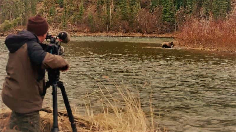 ¼ƬյҰܶ Yukons: Wild Grizzlies1080P-Ļ/Ļ