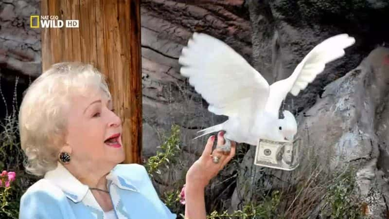 ¼Ƭ١رÿҰ Betty White Goes WildĻ/Ļ