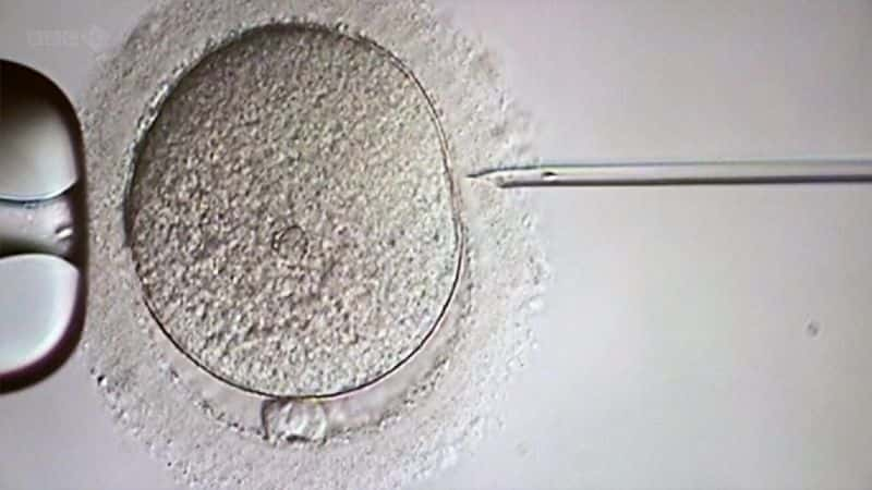 ¼ƬӤߣ Baby Makers: The Fertility Clinic1080Pȫ1-Ļ/Ļ