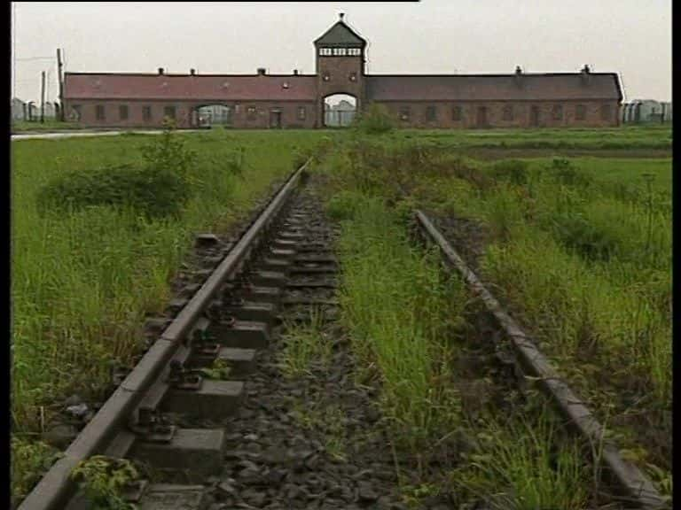 ¼Ƭ˹ά AuschwitzĻ/Ļ