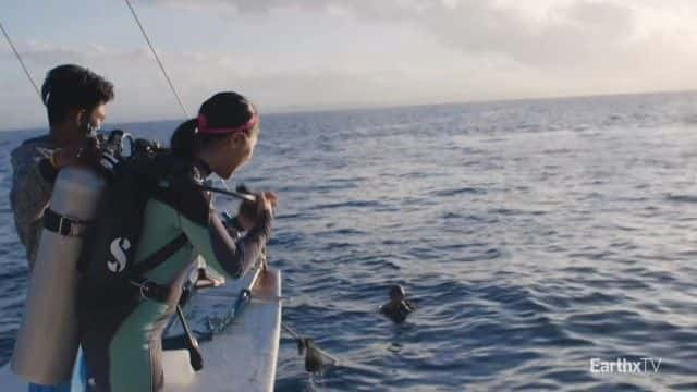 ¼ƬȺͳβ Anna and the Thresher Shark1080Pȫ1-Ļ/Ļ