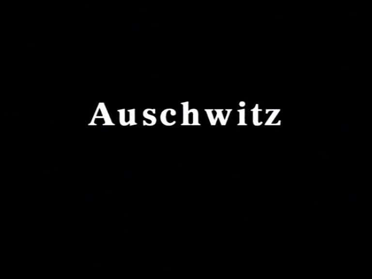 ¼Ƭ˹ά AuschwitzĻ/Ļ