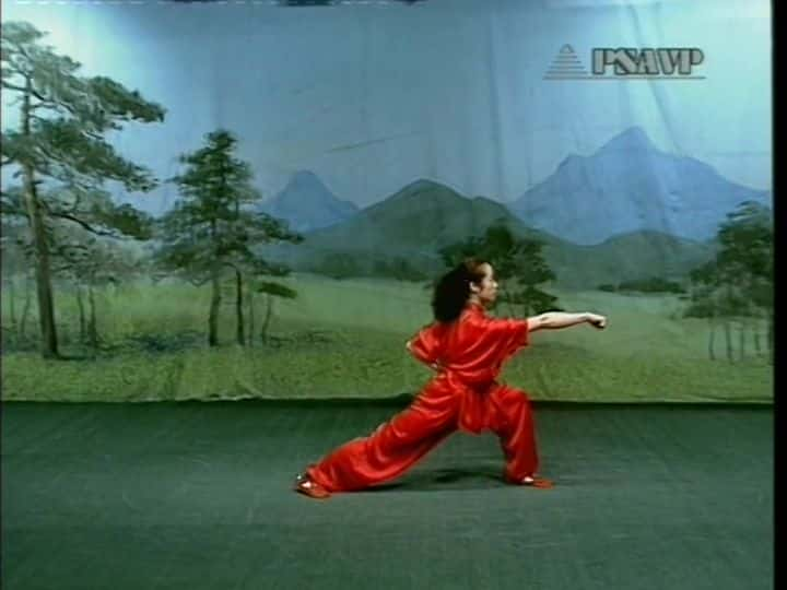 ¼Ƭ Wushu Basic SkillsĻ/Ļ