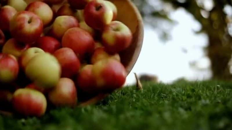 纪录片《苹果：英国的核心 Apples: British to the Core》[无字][BT][720P]资源下载