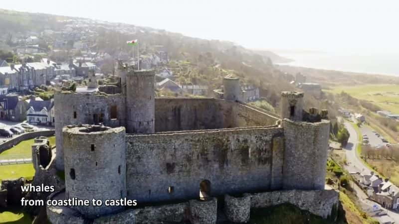 ¼Ƭ˶ʿϵ 1 Wonderful Wales with Michael Ball Series 11080P-Ļ/Ļ