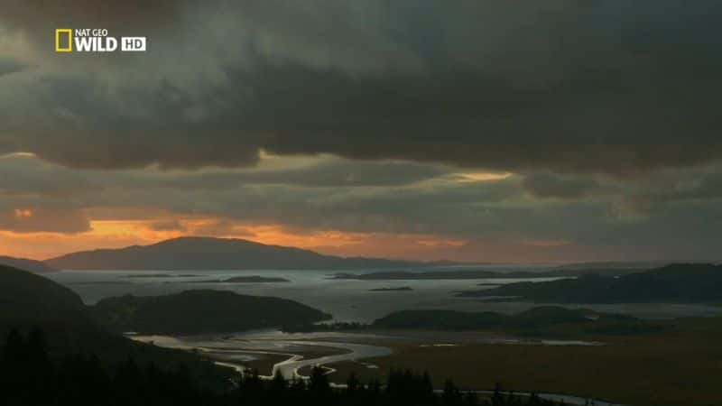 ¼ƬҰոȺ Wild Scotland: The Western IslesĻ/Ļ