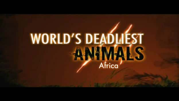 ¼ƬޣĶ Africa (World's Deadliest Animals)Ļ/Ļ