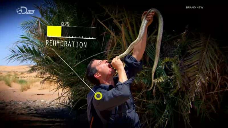 ¼Ƭ˹ϵ 1 Bear Grylls: Escape from Hell Series 1Ļ/Ļ