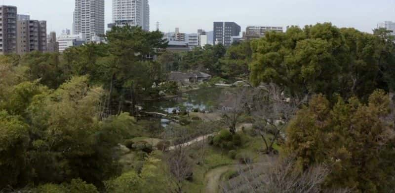 ¼Ƭ֤ʷձؼ Witness History: Japan Special1080P-Ļ/Ļ