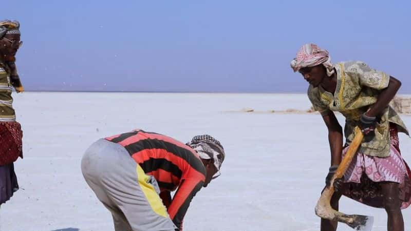 ¼ƬǶİó Arho: The Afar Salt Trade of Northeastern EthiopiaĻ/Ļ