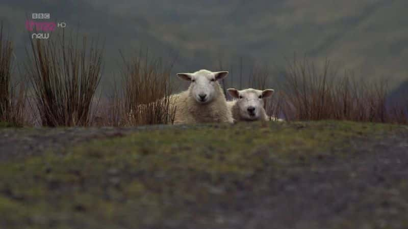 ¼Ƭոʮ Being Sixteen in Scotland1080Pȫ2-Ļ/Ļ