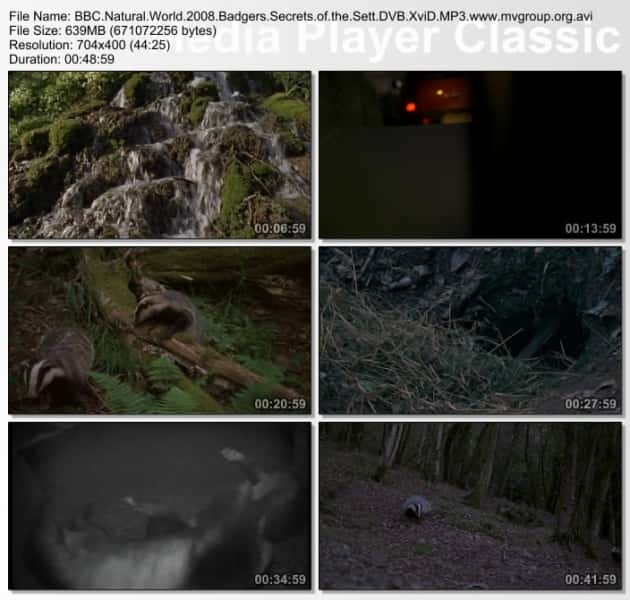 ¼Ƭ - ص Badgers - Secrets of the Sett720P-Ļ/Ļ