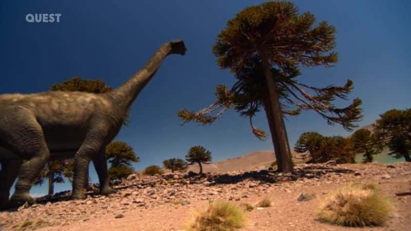 ¼Ƭʱ When Dinosaurs Roamed America (Quest)ȫ1-Ļ/Ļ