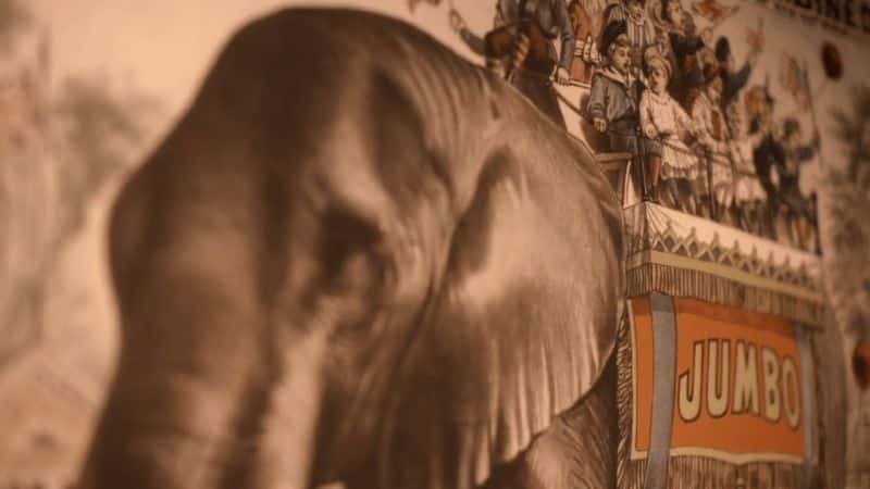 ¼Ƭպ; Attenborough and the Giant ElephantĻ/Ļ