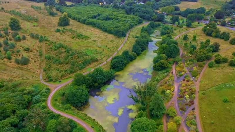 纪录片《古董路演：威尔士国家植物园 2 Antiques Roadshow: National Botanic Garden of Wales 2》[无字] [BT][DVD画质]资源下载