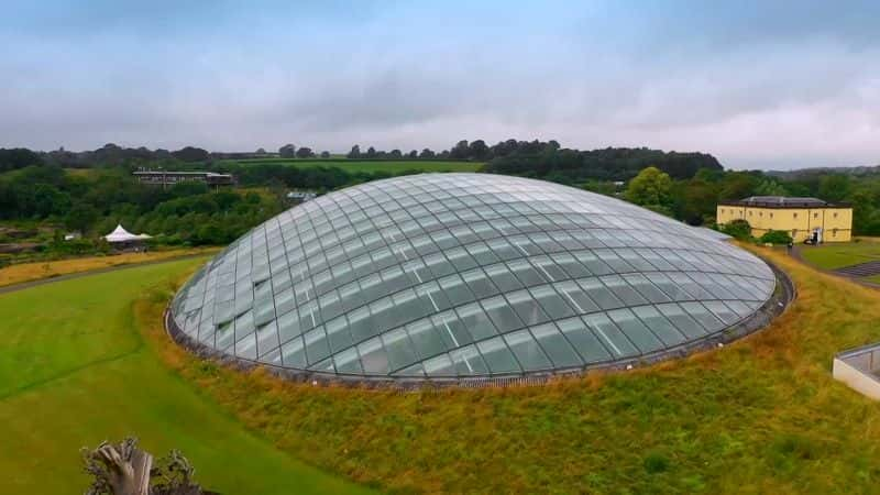 纪录片《古董路演：威尔士国家植物园 2 Antiques Roadshow: National Botanic Garden of Wales 2》[无字] [BT][DVD画质]资源下载