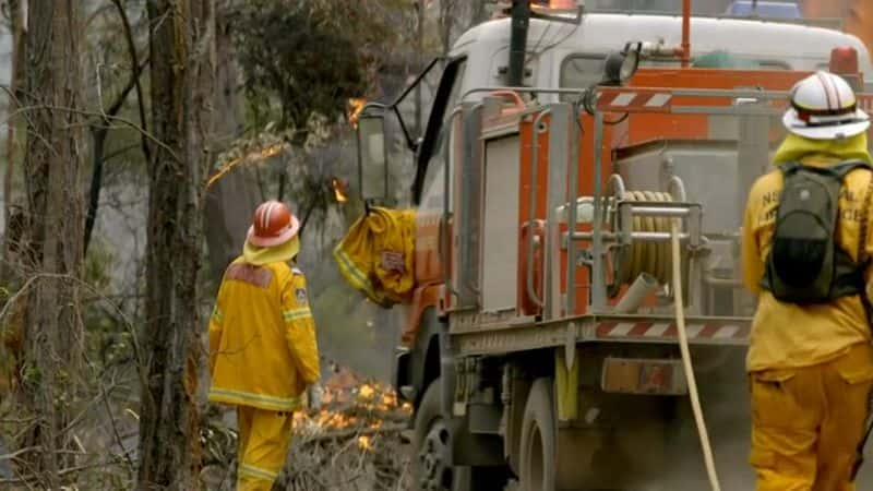 纪录片《2014 年野火：地狱内部 Wildfires 2014: Inside the Inferno》[无字][BT][DVD]资源下载