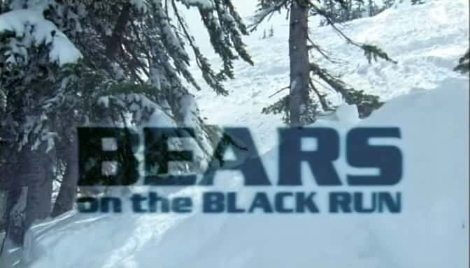 ¼Ƭɫе Bears on the Black Runȫ1-Ļ/Ļ