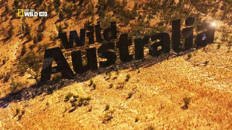 ¼ƬҰĴ Wild AustraliaĻ/Ļ