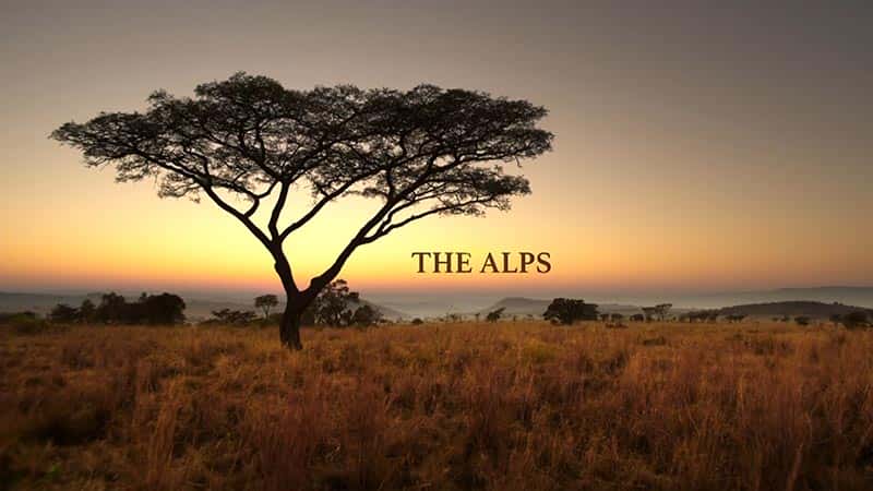 ¼Ƭ˹ɽ磩 The Alps (miniseries)1080Pȫ2-Ļ/Ļ