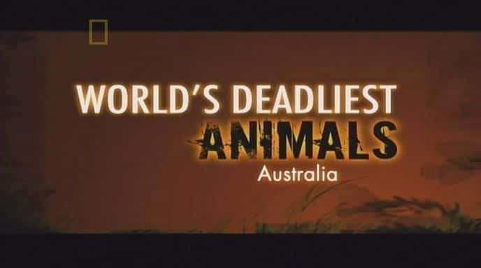 ¼ƬĴǣNGĶ Australia (NG World's Deadliest Animals)Ļ/Ļ