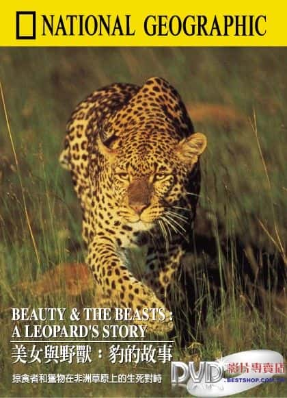 ¼ƬŮҰޣӵĹ Beauty and the Beasts: A Leopard's StoryĻ/Ļ