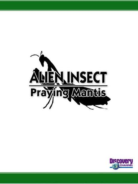 ¼Ƭ -  Alien Insect - Praying Mantisȫ1-Ļ/Ļ